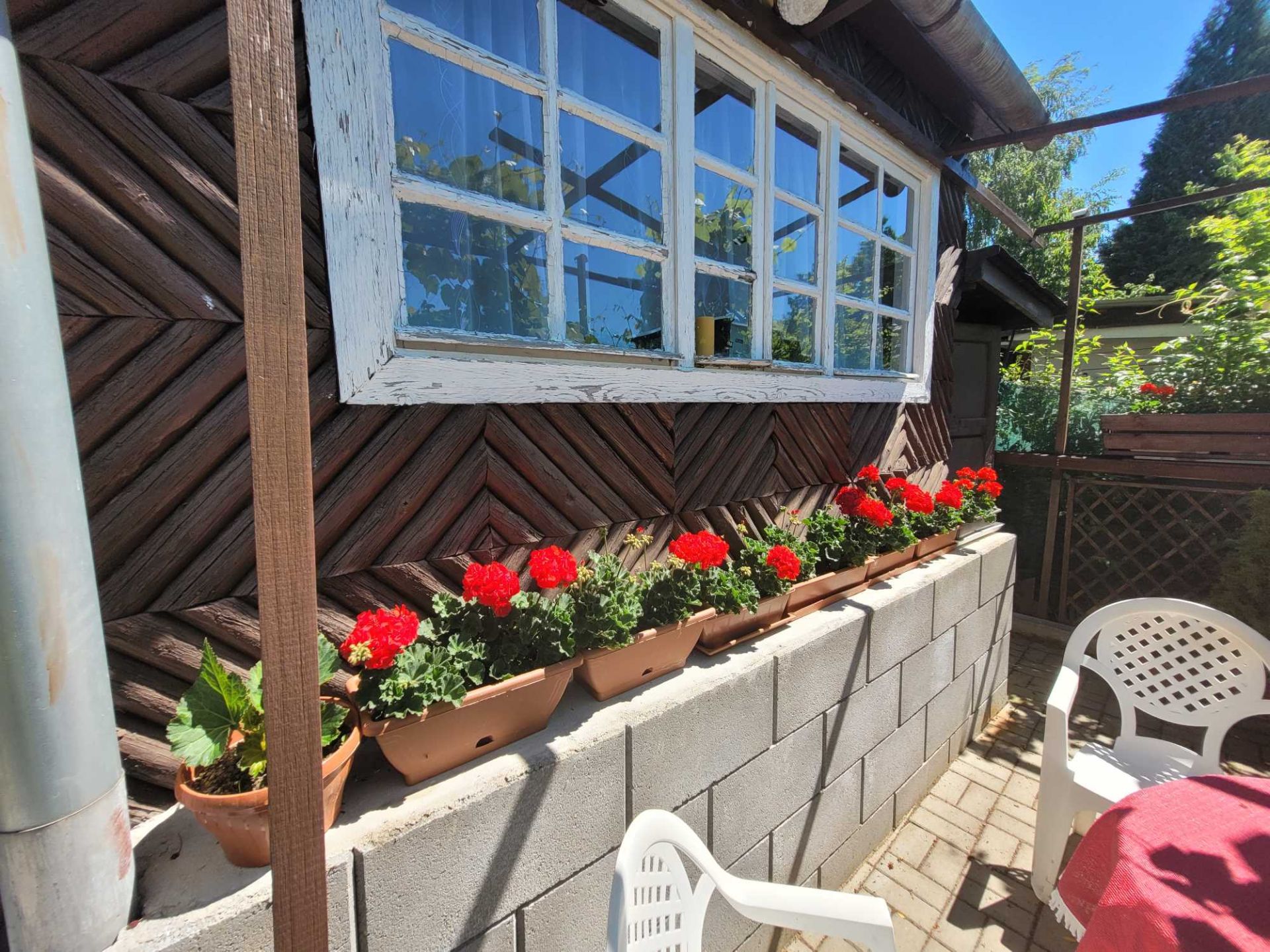 Predaná záhradná chatka a záhrada, 296 m2, Handlová