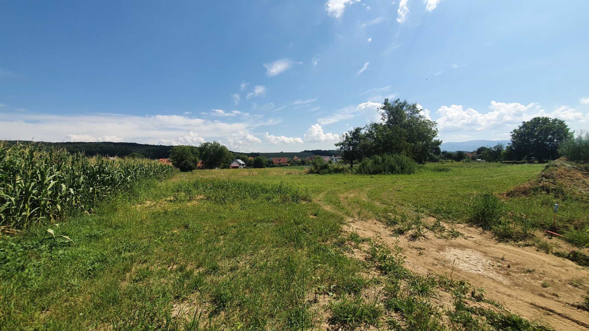 Predaný stavebný pozemok o rozlohe 592 m2, Diviacká nova Ves.